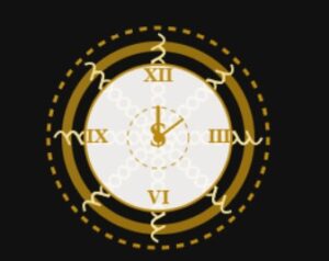 111 logo